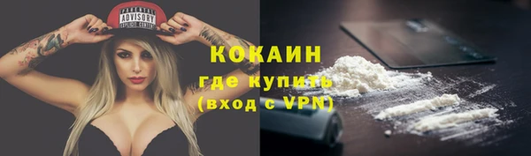 круглые Пересвет