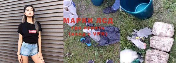 спиды Гатчина