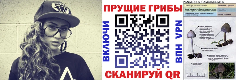 Галлюциногенные грибы Cubensis  Бирюч 